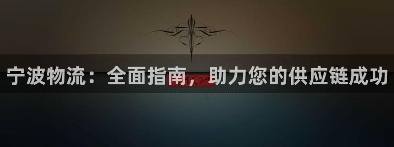 28圈的自行车：宁波物流：全面指南，