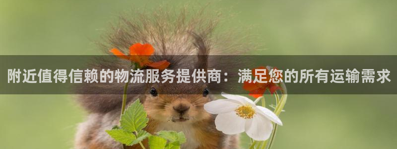 28圈注册与教程：附近值得信赖的物流