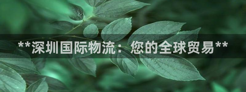 28圈犯法吗