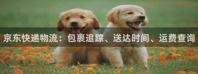 28圈注册网站多少钱：京东快递物流：
