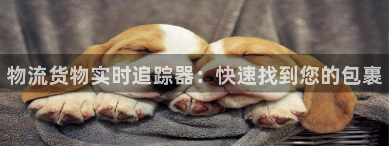 28圈.ccmpc29官网版下载