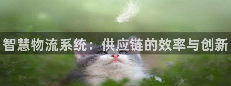 28圈机器人是什么软件