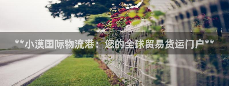 28圈软件是诈骗吗：**小漠国际物流