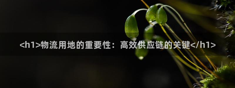 28圈pg麻将胡了