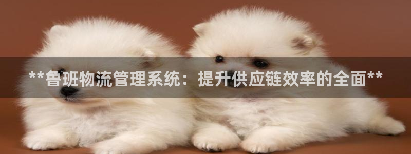 28圈官网下载链接是什么网站