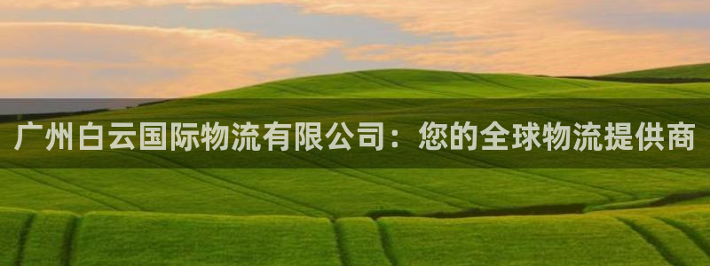 28圈官方网站预测