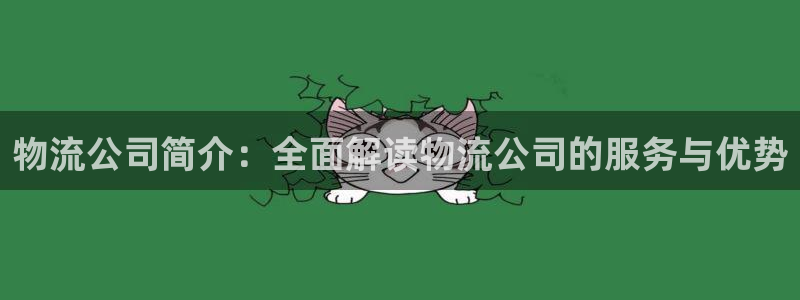 28圈圈：物流公司简介：全面解读物流