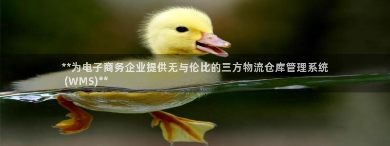 28圈下载链接是多少