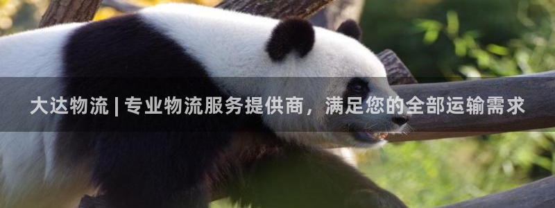 28圈注册上限是啥意思：大达物流 |
