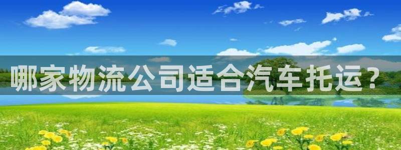 28圈注册与教程：哪家物流公司适合汽