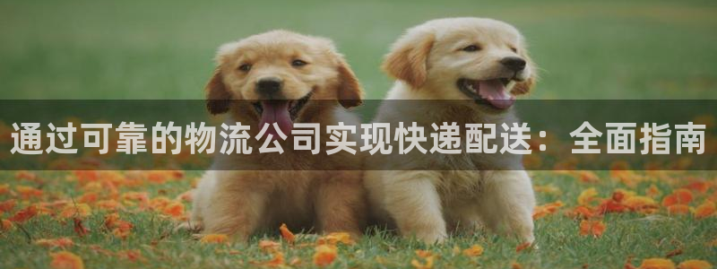 28圈退款教程：通过可靠的物流公司实