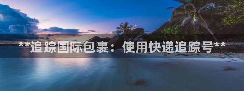 28圈注册流程：**追踪国际包裹：使