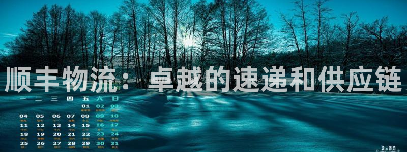 南宫28圈官网版：顺丰物流：卓越的速