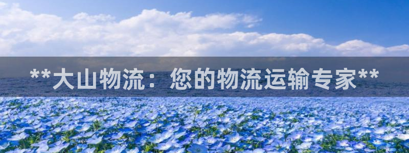 28圈加拿大是什么意思：**大山物流