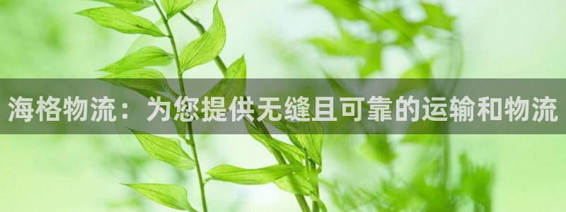 自行车28圈是什么意思：海格物流：为