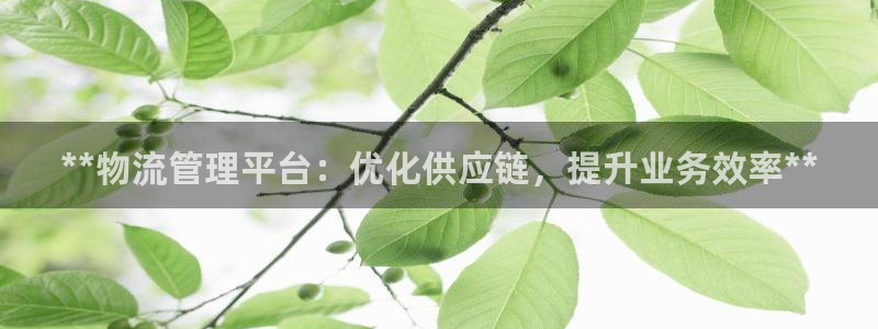 28圈pg麻将胡了