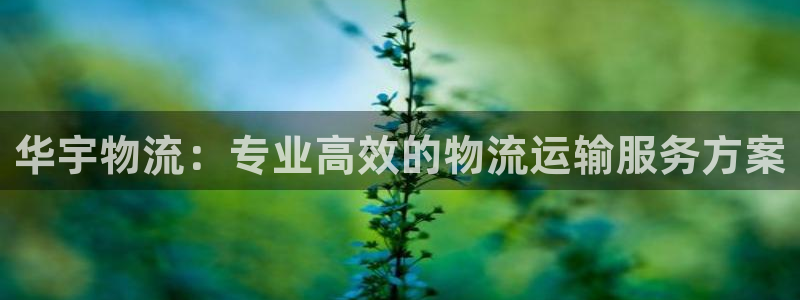 28圈二维码：华宇物流：专业高效的物
