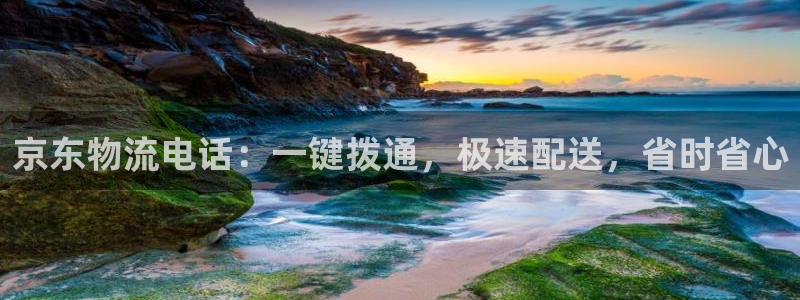 28圈软件堵什么反什么：京东物流电话