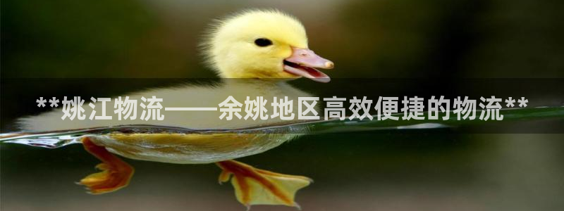 28圈的自行车：**姚江物流——余姚
