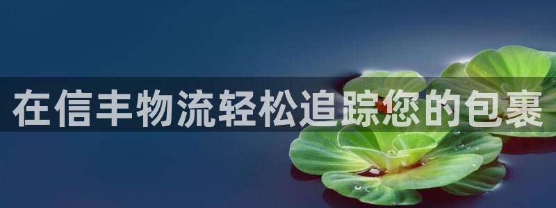 28圈注册号：在信丰物流轻松追踪您的