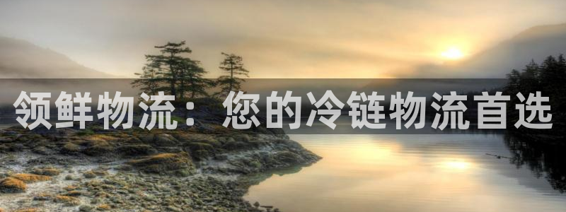 28圈官方网站预测：领鲜物流：您的冷