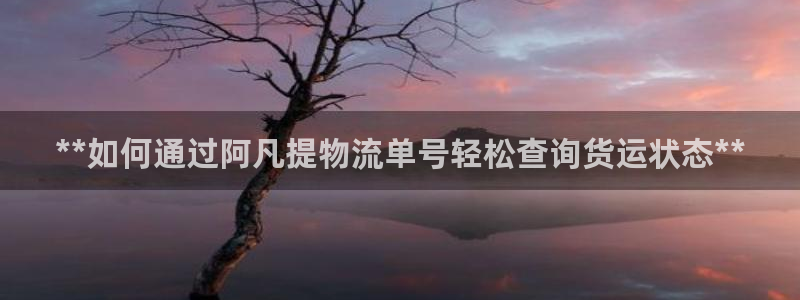 28圈：**如何通过阿凡提物流单号轻