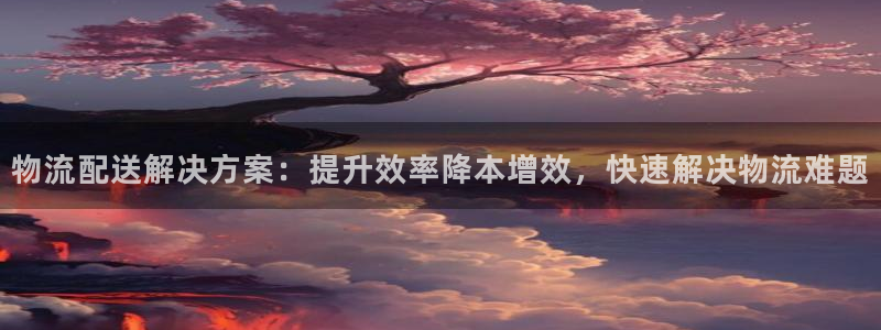 28圈电子：物流配送解决方案：提升效率降本增效，快速解决物流