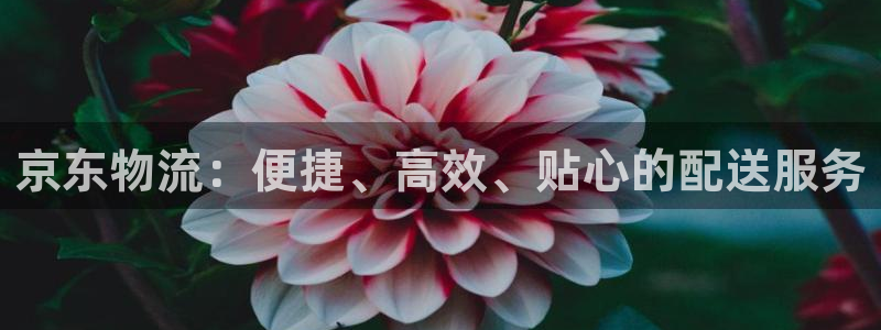 28圈机器人是什么软件