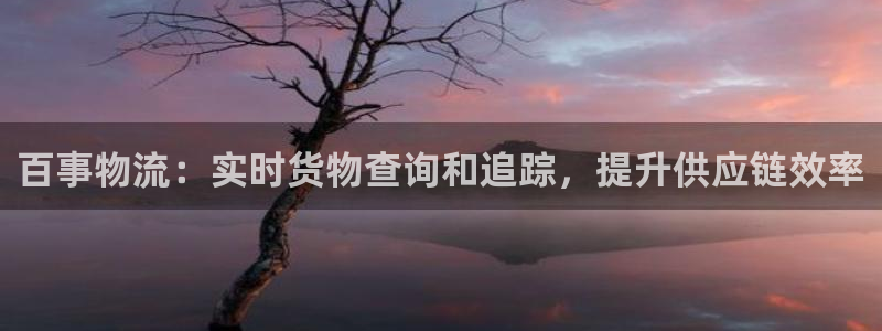 28圈图片：百事物流：实时货物查询和