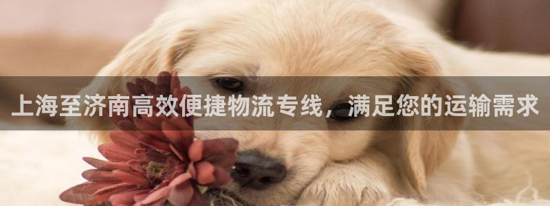 28圈pg麻将胡了2老是空转：上海至