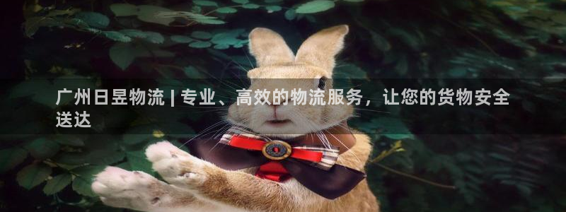 28圈app赢了500万：广州日昱物