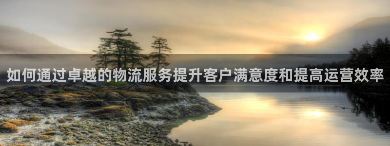 28圈游戏链接：如何通过卓越的物流服
