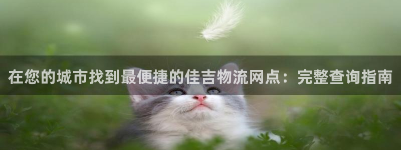 28圈大神预测