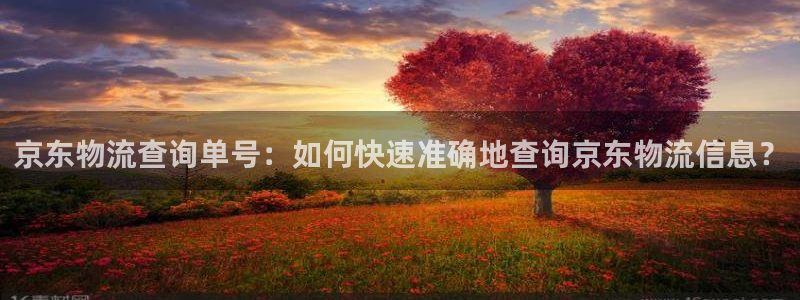 28圈注册网站：京东物流查询单号：如