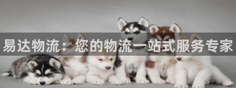 28圈圈