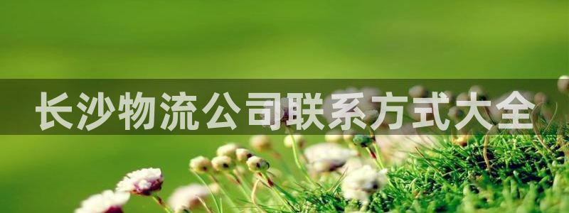 28圈相信品牌的力量：长沙物流公司联