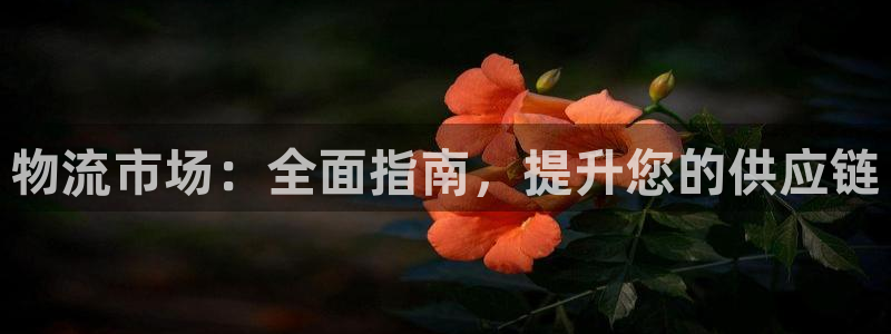 28圈下载二维码怎么弄：物流市场：全