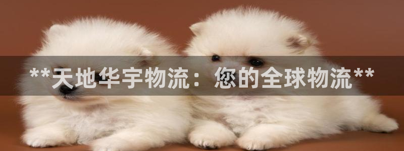 加拿大28圈注册链接：**天地华宇物流：您的全球物流**