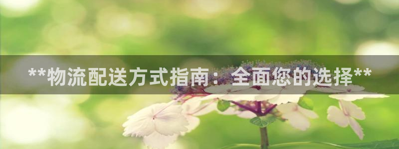 28圈吧：**物流配送方式指南：全面