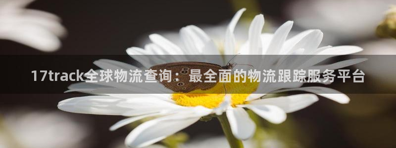 28圈那个才是充值账号：17trac