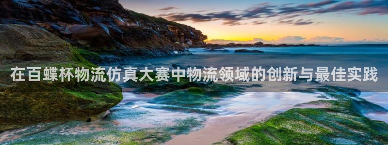 28圈登录用户名登录不上：在百蝶杯物