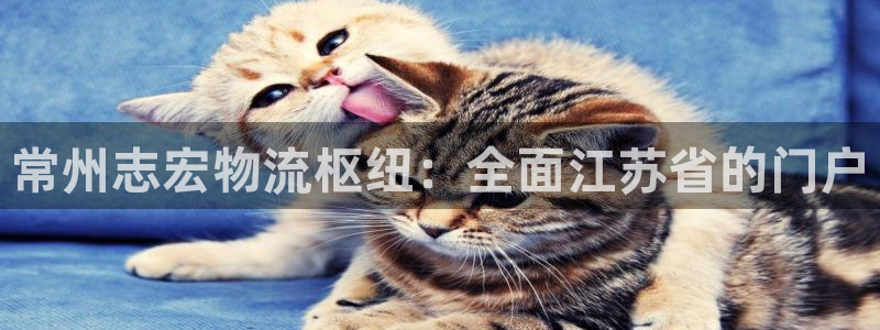 28圈注册登录链接流程：常州志宏物流