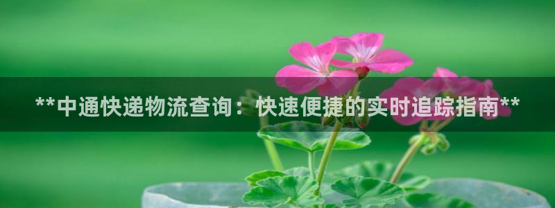 28圈返水怎么算的：**中通快递物流