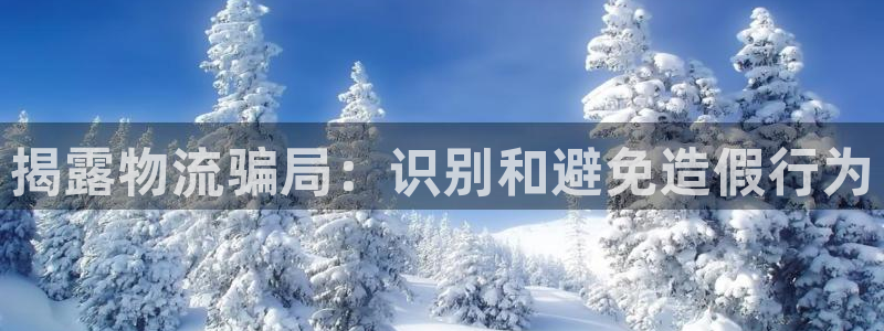 28圈加拿大是什么：揭露物流骗局：识