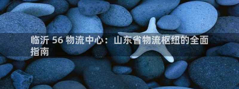 28圈充值不到账什么原因：临沂 56