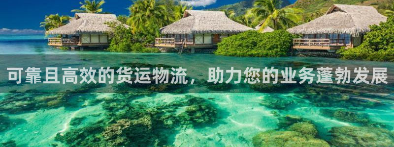 28圈是什么软件：可靠且高效的货运物