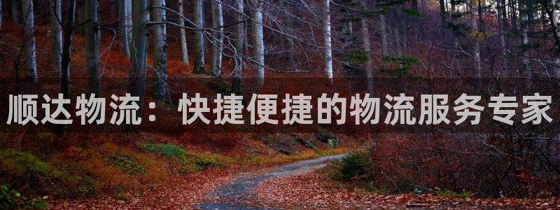 28圈链接来一个：顺达物流：快捷便捷