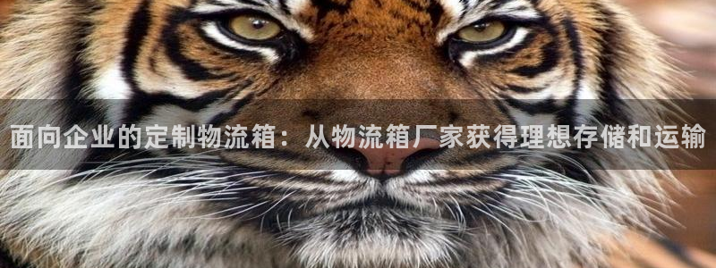 28圈黑款：面向企业的定制物流箱：从
