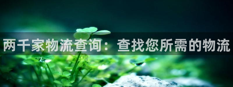 28圈链接多少：两千家物流查询：查找您所需的物流