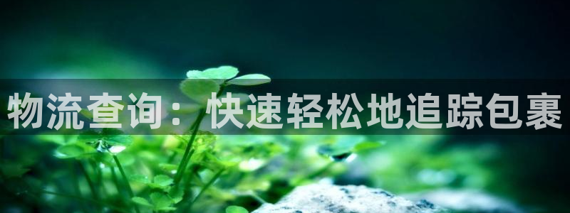 28圈注册网页：物流查询：快速轻松地追踪包裹